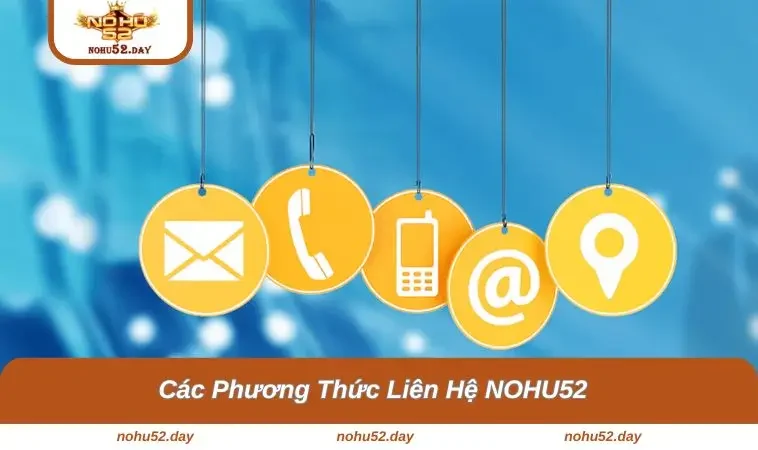 Các cách để kết nối nền tảng